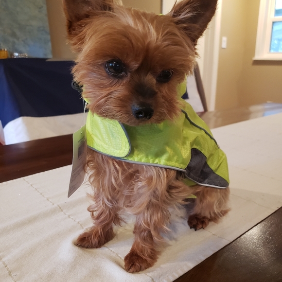 Top Paw Other - Reflective Dog Hooded Rain Jacket S